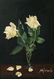 (2pc) AMERICAN SCHOOL STILL LIFES - 3