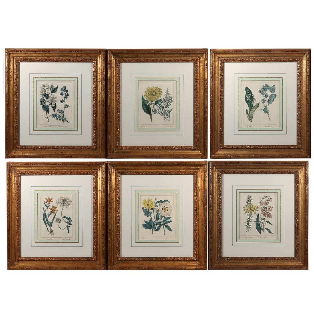 (6pc) FRAMED BOTANICAL PRINTS (1 of 8)