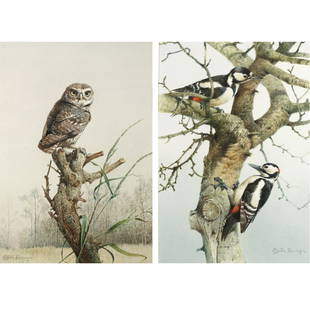 (2pc) EDWIN PENNY (British, b. 1930): Owl on perch; Two woodpeckers (2 works) mixed media on paper h. 19-1/2 w. 13-1/2 in. (sight, each) overall: 29-1/2 x 23-1/2 in. both signed lower margin, in matching frames