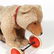 STEIFF BLOND TEDDY BEAR PULL-TOY/ROCKER - 5