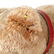 STEIFF BLOND TEDDY BEAR PULL-TOY/ROCKER - 7