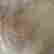 item-87373336=5