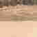 item-87373649=6