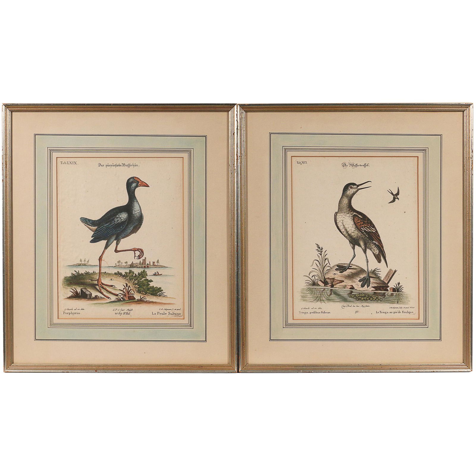 PAIR EARLY FRENCH BIRD PRINTS (1 of 7)