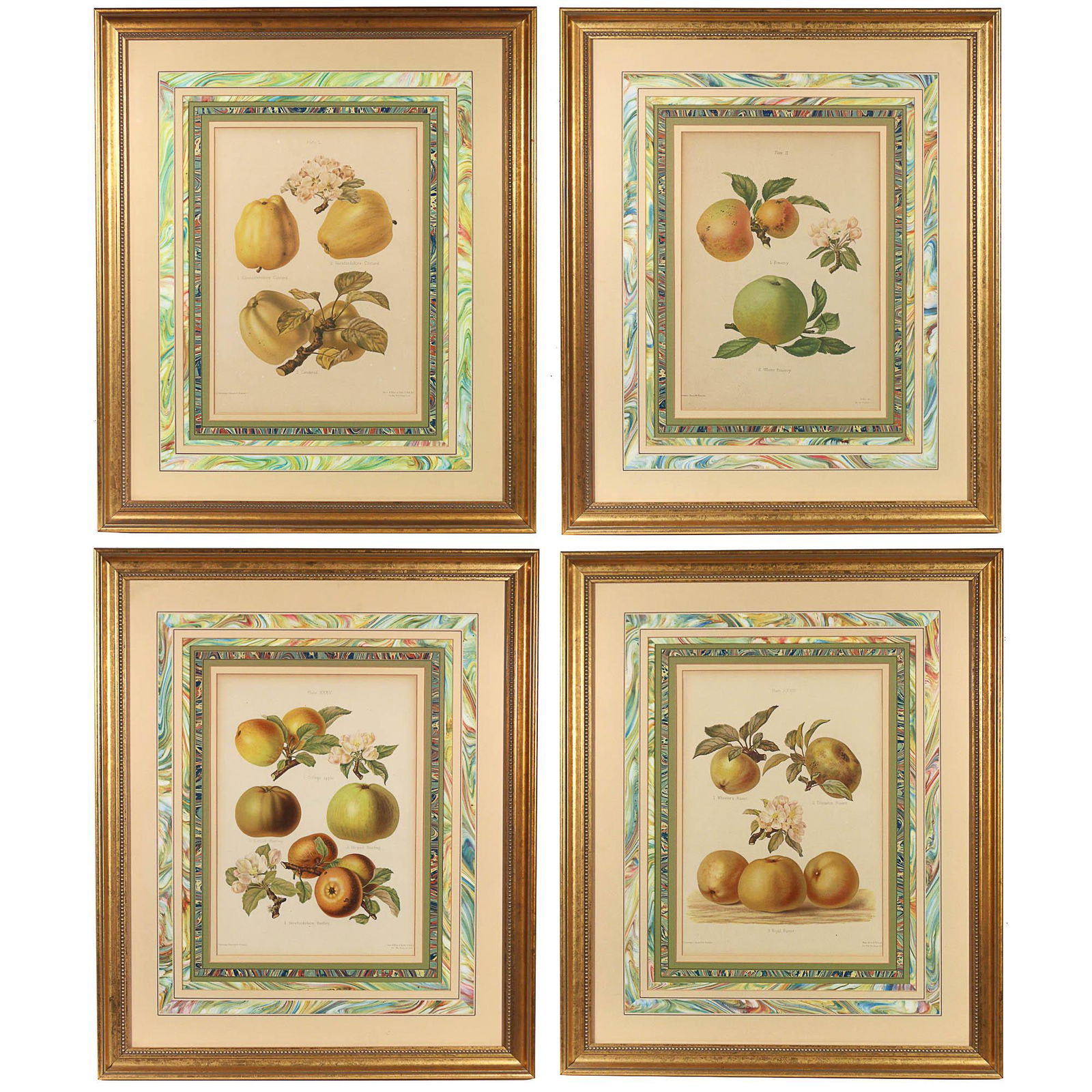 (4pc) THE HEREFORDSHIRE POMONA LITHOGRAPHS (1 of 12)