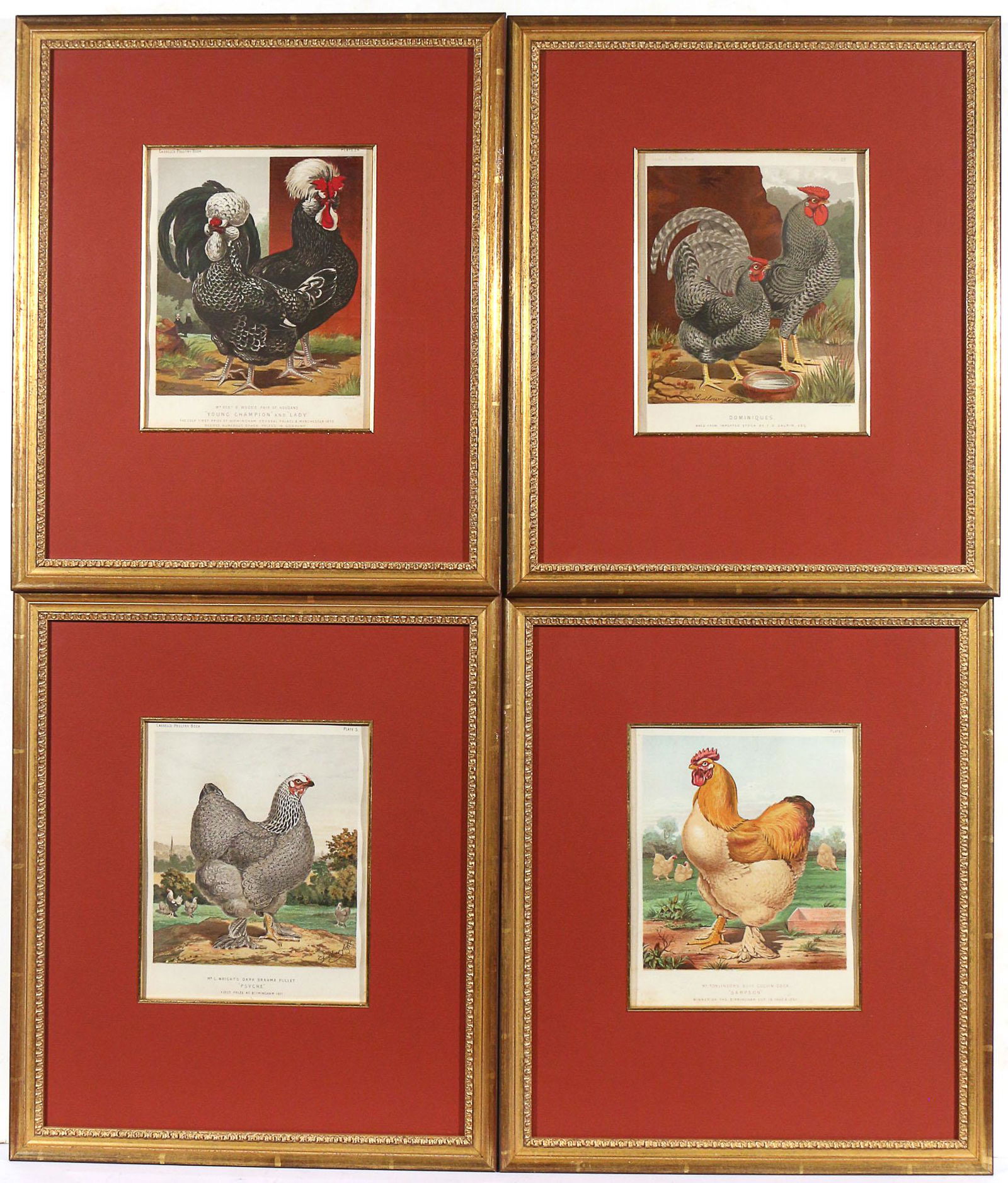 (4pc) CASSELL'S COLORED POULTRY PRINTS (1 of 6)