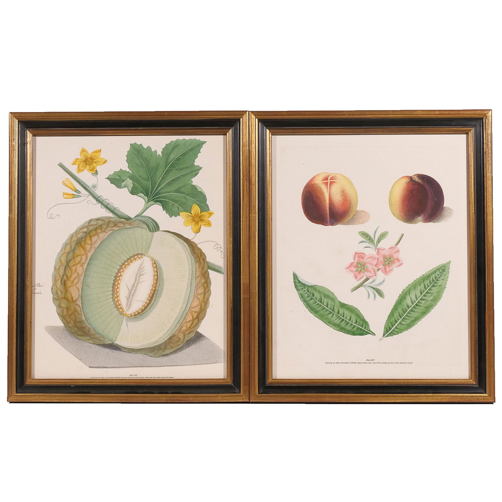 (2pc) GEORGE BROOKSHAW POMONA BRITANNICA PLATES (1 of 12)