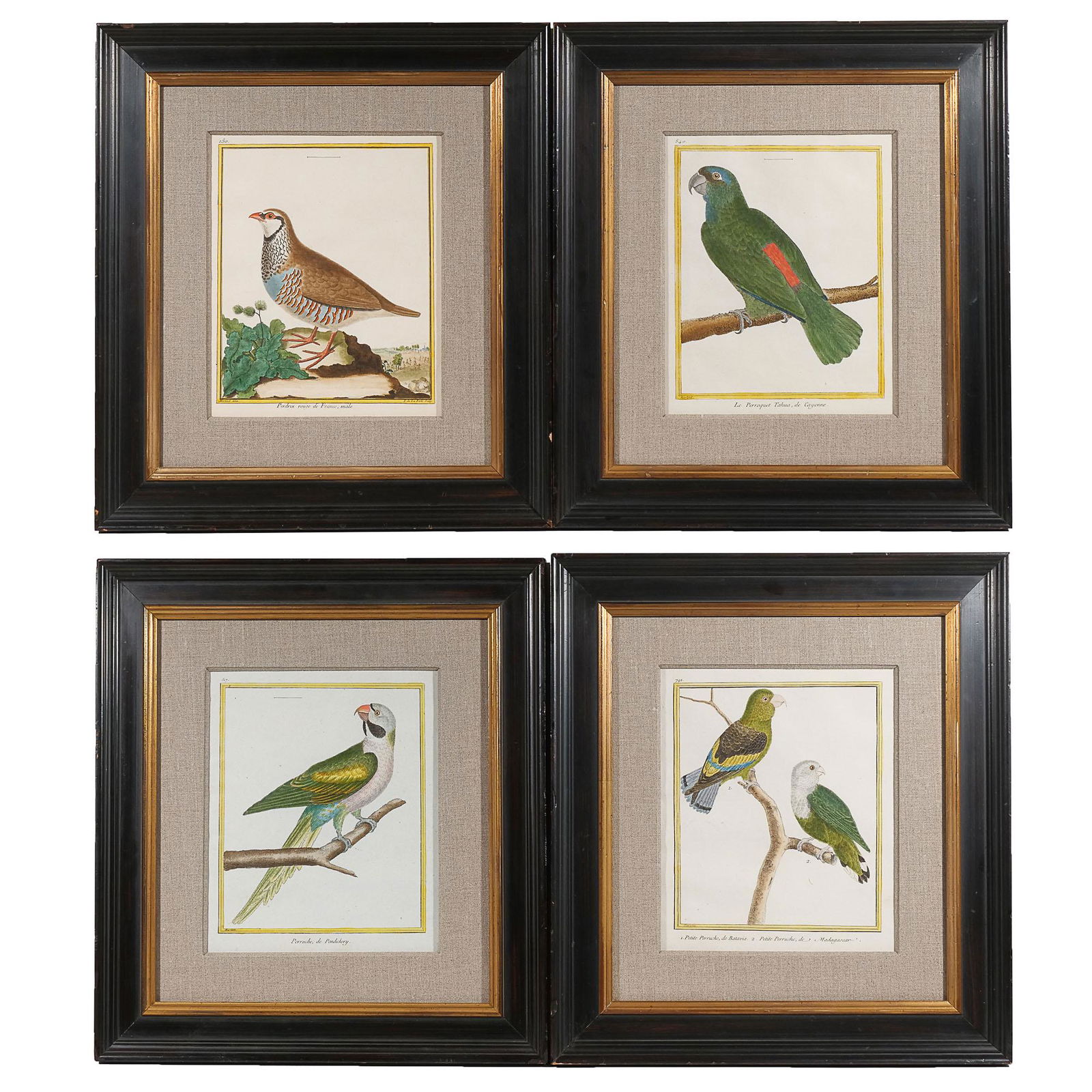 (4pc) FRANCOIS MARTINET, HISTOIRE NATURELLE (1 of 9)