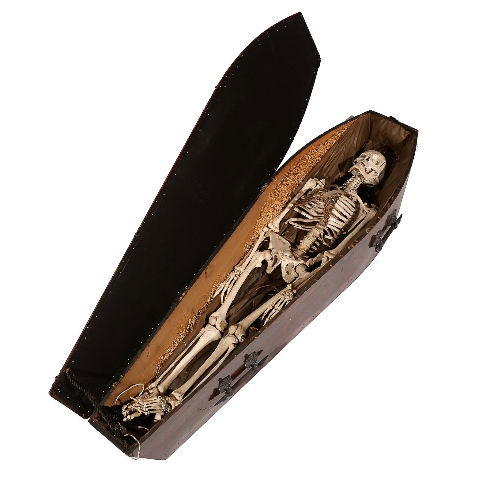 ANTIQUE IOOF ARTICULATED SKELETON (1 of 13)