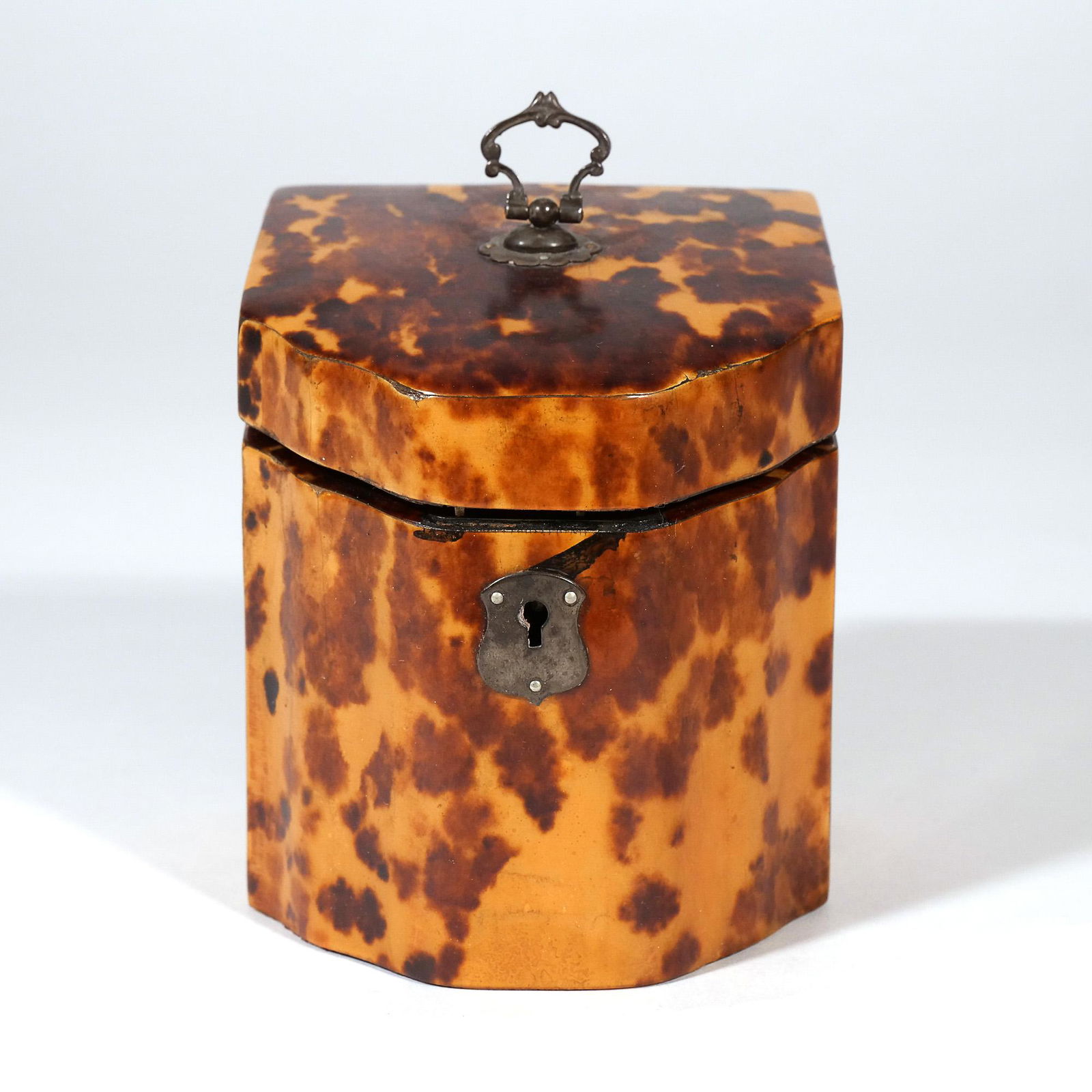 GEORGE III SHELL TEA CADDY (1 of 8)