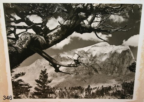 CEDRIC WRIGHT (1889-1959) BLK & WHITE PHOTO GRAPH: OF MT. WHITNEY , 7 3/4 X 9 3/4", LAID DOWN, PENCIL SGD.