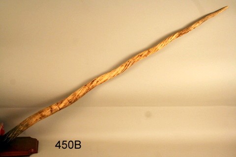 450B) 19TH C. NARWHALE TUSK OF BARLEY TWIST FORM, L. 48: W/WALL MOUNT, COND.: OLD CHIP ALONG EDGE,IN ACCORDANCE W/CITES REGULATIONS