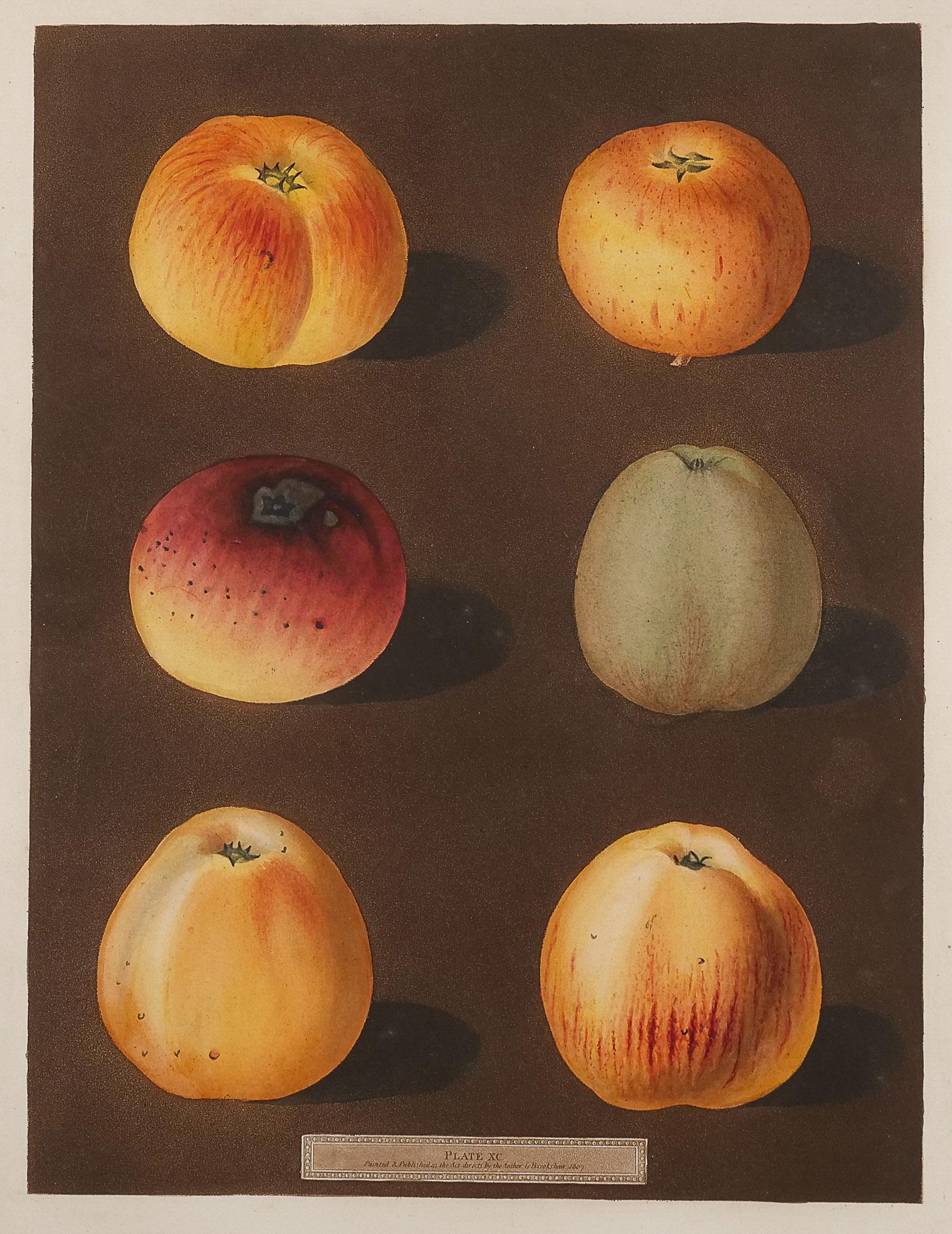 GEORGE BROOKSHAW (1751-1823), APPLES (PLATE 90) (1 of 9)