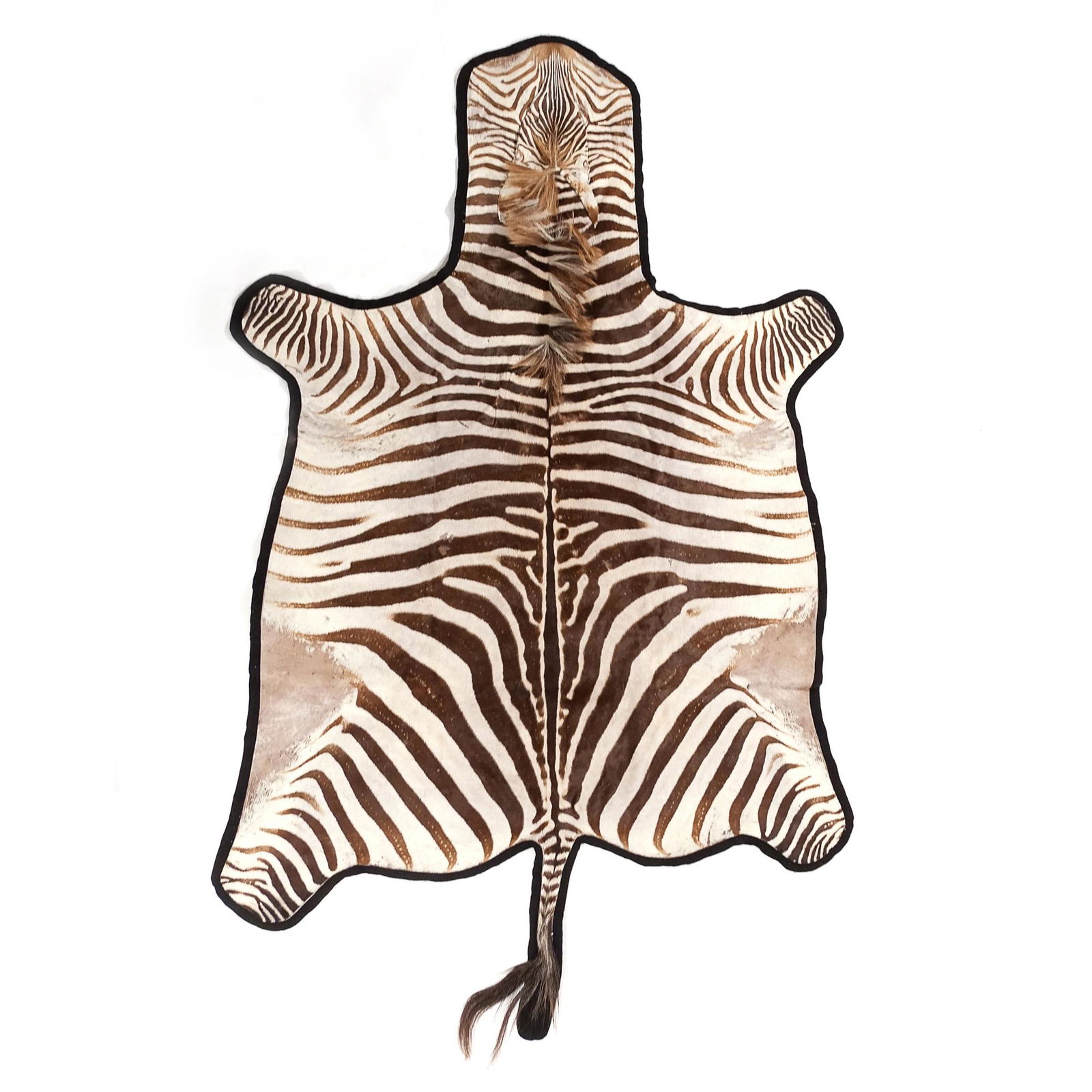 NATURAL ZEBRA SKIN HIDE RUG (1 of 7)