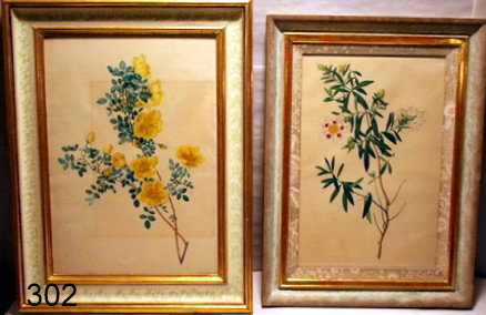 302) TWO 19TH C. CONTINENTAL SCHOOL BOTANICAL : WATERCOLORS ATTRIB. TO FRANZ XAVER GRUBER, ONE W/BROWNING; SIGHT: 20" X 14" AND 12" X 18"