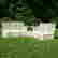 item-131513715=3