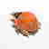 item-131513764=10