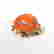 item-131513764=11