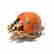 item-131513764=2