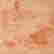 item-131513835=5