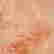 item-131513835=6