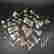 item-131514129=2
