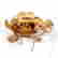 item-131514149=5