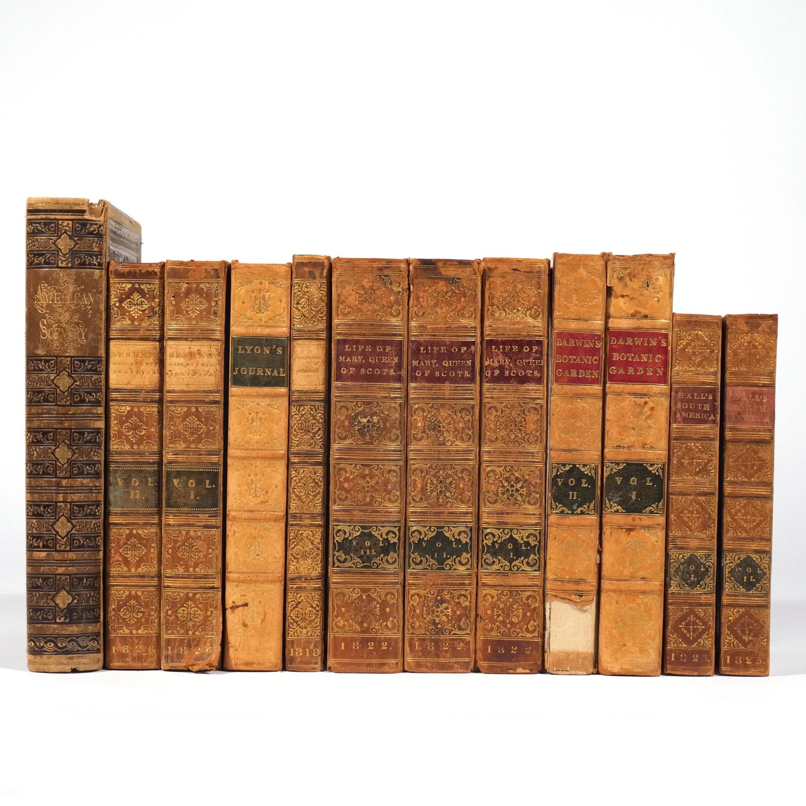 (12vol) ANTIQUE LEATHER BOUND BOOKS (1 of 20)