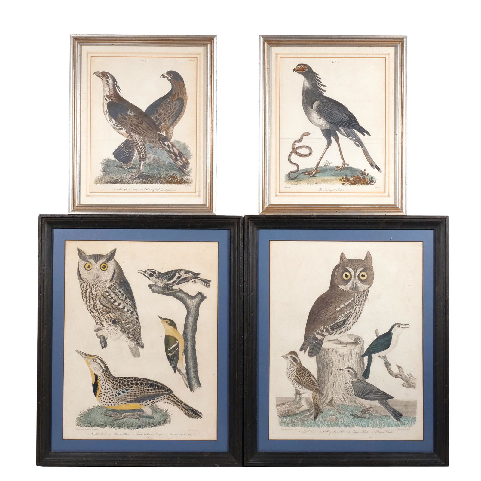 (4pc) MISC. ORNITHOLOGICAL ENGRAVINGS (1 of 11)