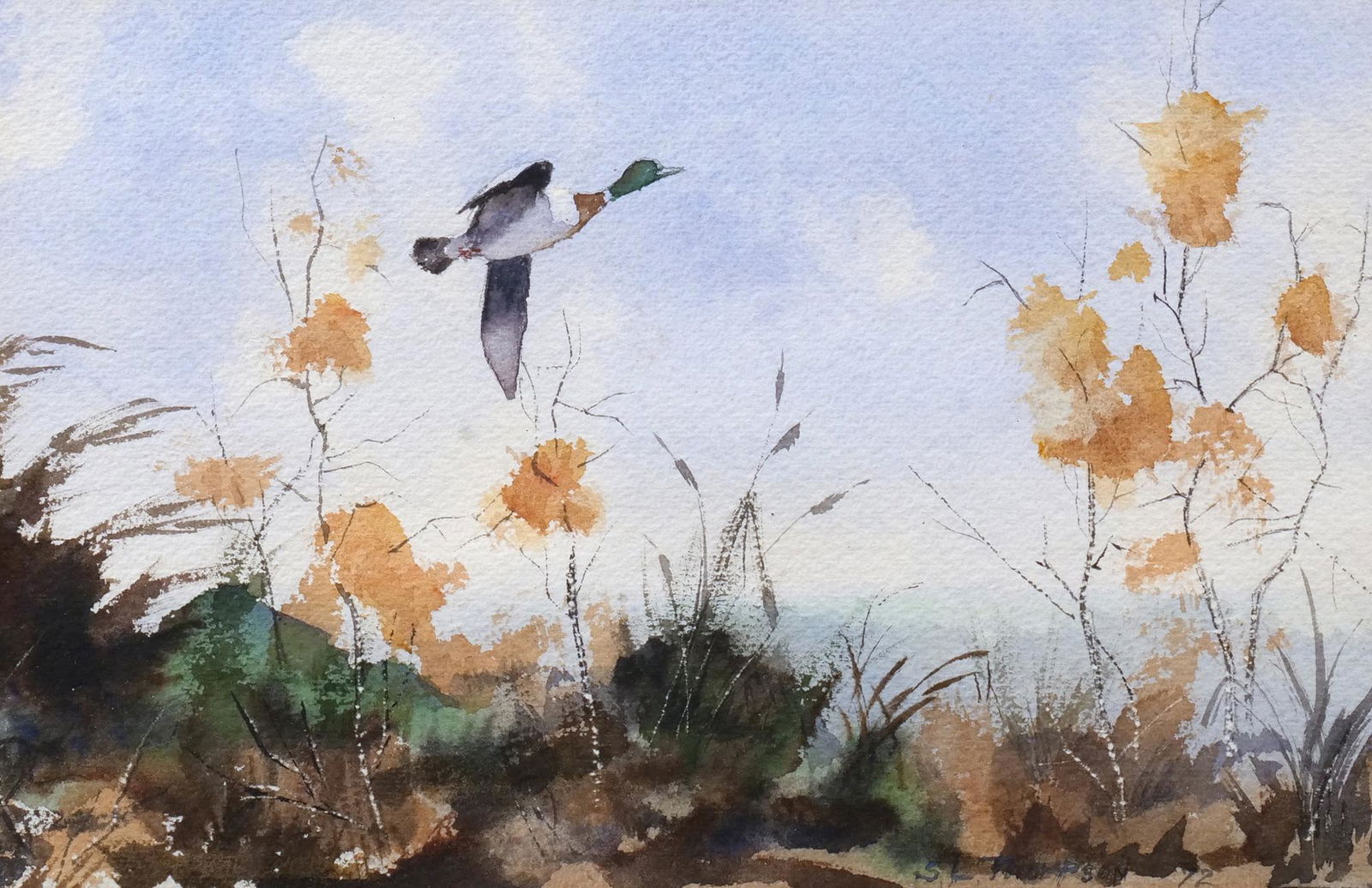 S L THOMPSON (20th Century) (1 of 9)