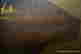 item-10748690=3
