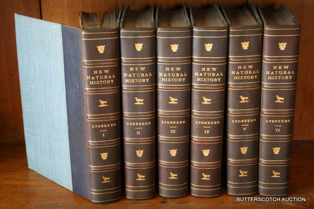 19 VOL. LEATHER BOUND BOOKS:: INCLUDING: 6 VOL. HALF LEATHER: THE NEW NATURAL HISTORY BY RICHARD LYDEKKER, MERRIL AND BAKER, NY; BINDINGS ARE VERY DRY; 72 COLOR PLATES; SCHILLER'S COMPLETE WORKS IN 2 VOLUMES, 3/4 LEATHER; EDITED C