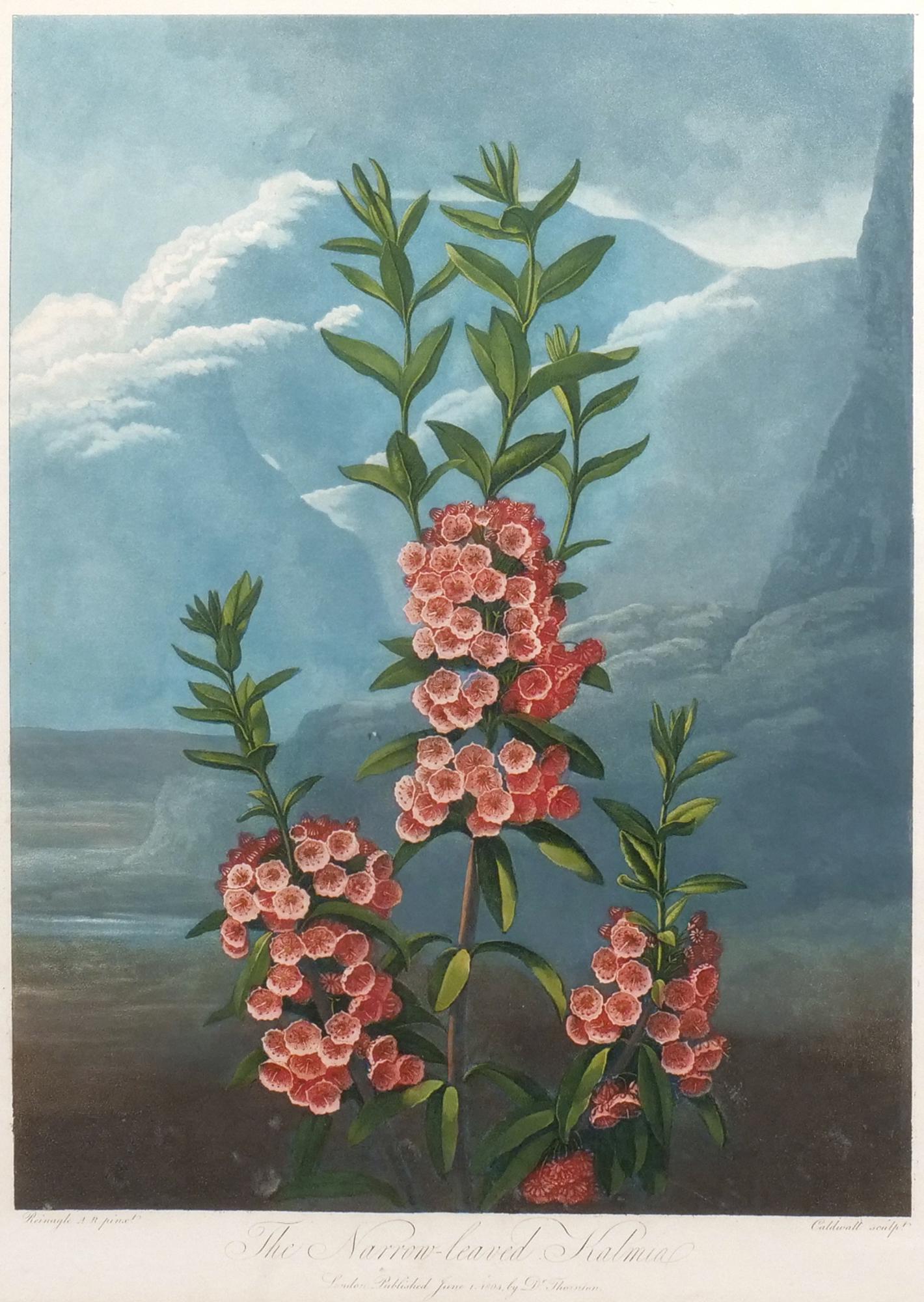 DR. ROBERT JOHN THORNTON (1768-1837) (1 of 10)