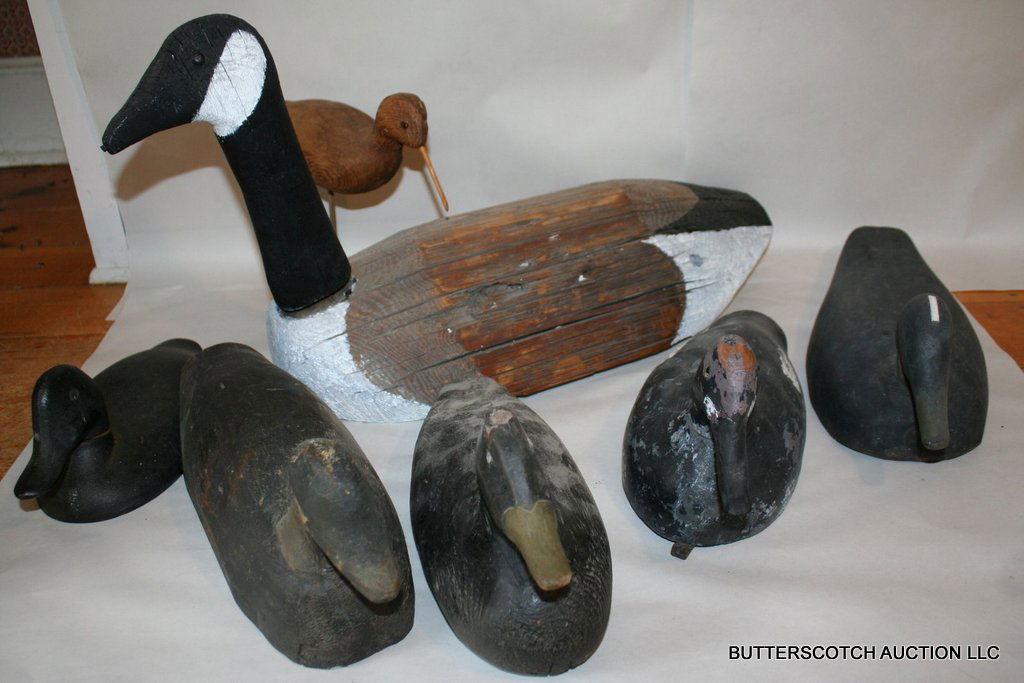 (7) DUCK DECOYS W/ WING DUCK - SHOREBIRD - ECT: LOT OF (7) DECOYS INCLUDING: (1) PRIMITIVE CANADA GOOSE W/ ORIGINAL PAINT; (1) SHOREBIRD IN NATURAL WOOD ON STAND; (1)CAST IRON WING DUCK PAINTED BLACK; (1) NY STATE REDHEAD DRAKE, W/ IN USE PAINT AS