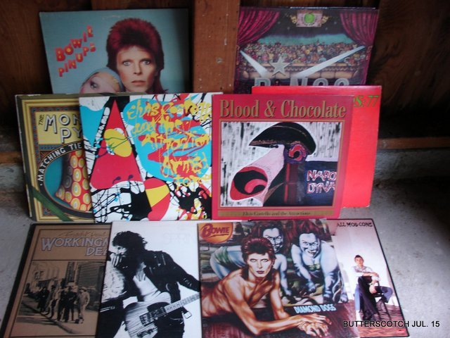 LRG. GROUP ROCK 'N ROLL RECORDS: W/COVERS. BEATLES,DYLAN.COSTELLO,RAIT.MITCHEL,THE WHO,THE CLASH, SPRINGSTEEN,TULL,BLONDIE,THE JAM ECT