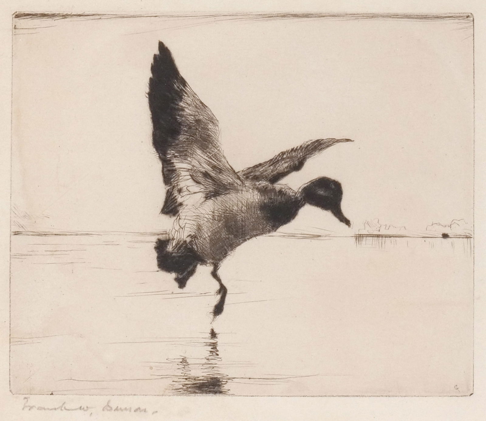 FRANK BENSON (American, 1862-1951): Redhead Alighting Etching h. 5-1/2 w. 6-1/2 in. (sight) Pencil signed lower left, c. 1929 with Knoedler label on verso, framed overall: 11-3/4 x 12 in. (frame) Provenance: M. Knoedler & Co. gallery, N