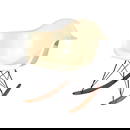 EAMES ZENITH ROCKING CHAIR