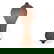 item-210443783=4