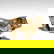 item-210443799=7