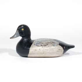 BLUE BILL DRAKE BY GEORGE SIBLEY