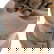 item-210443901=6
