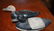 353) 3 DECOYS: HY DAHL KA CANVAS BACK DRAKE, - 6