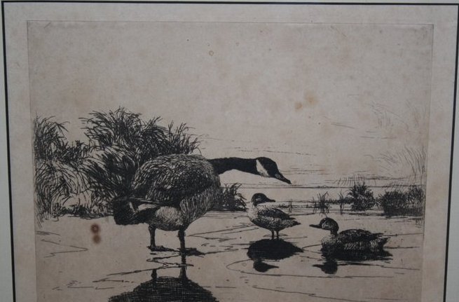 582) FRANK WESTON BENSON (AMER. 1862-1951), ETCHING,: LONE GOOSE STANDING IN WATER WITH TWO TEAL, APPROX. 6" X 8", REF. PAFF # 125