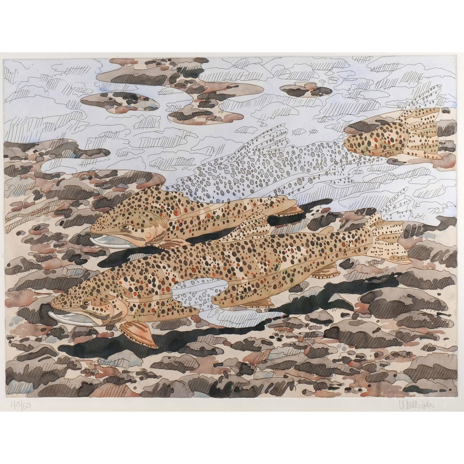 NEIL GAVIN WELLIVER (American, 1929-2005): Trout & Reflection, 1980 Etching with hand-coloring h. 22-3/8 w. 29-3/4 in. (plate) On Arches paper, signed and numbered 40/60 lower margin, framed overall: 32-3/4 x 38 in. (framed) Provenance: Descen