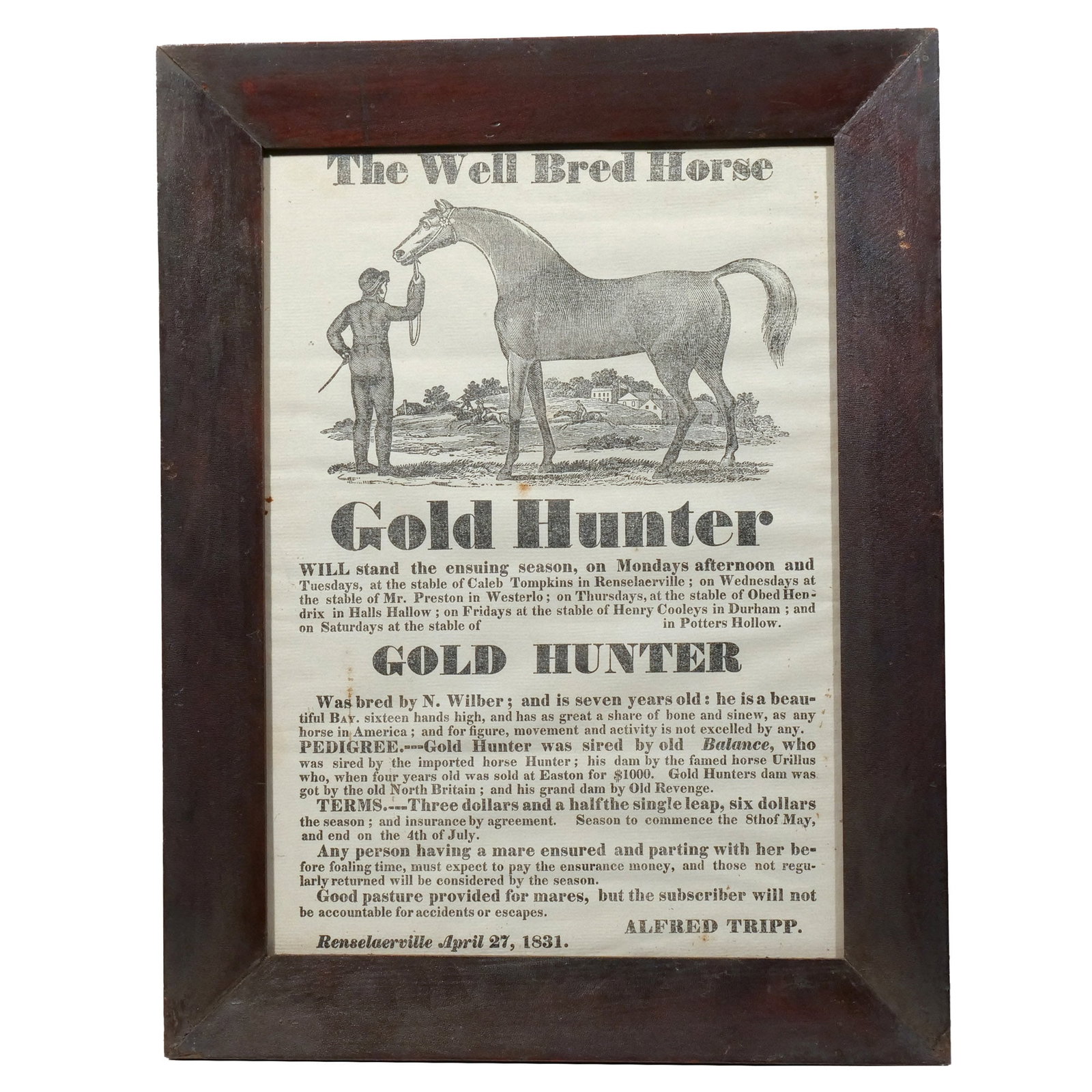 GOLD HUNTER STUD FEE BROADSIDE (1 of 4)