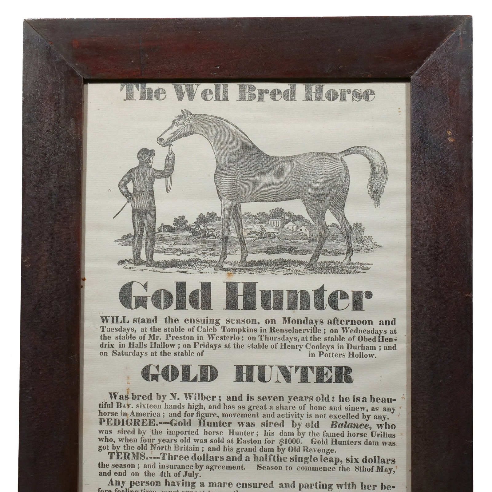 GOLD HUNTER STUD FEE BROADSIDE - 2