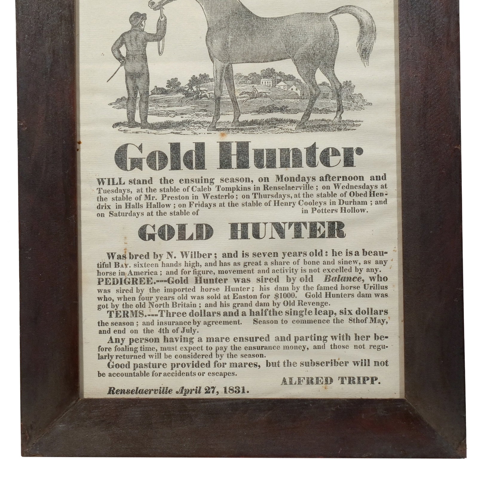GOLD HUNTER STUD FEE BROADSIDE - 3