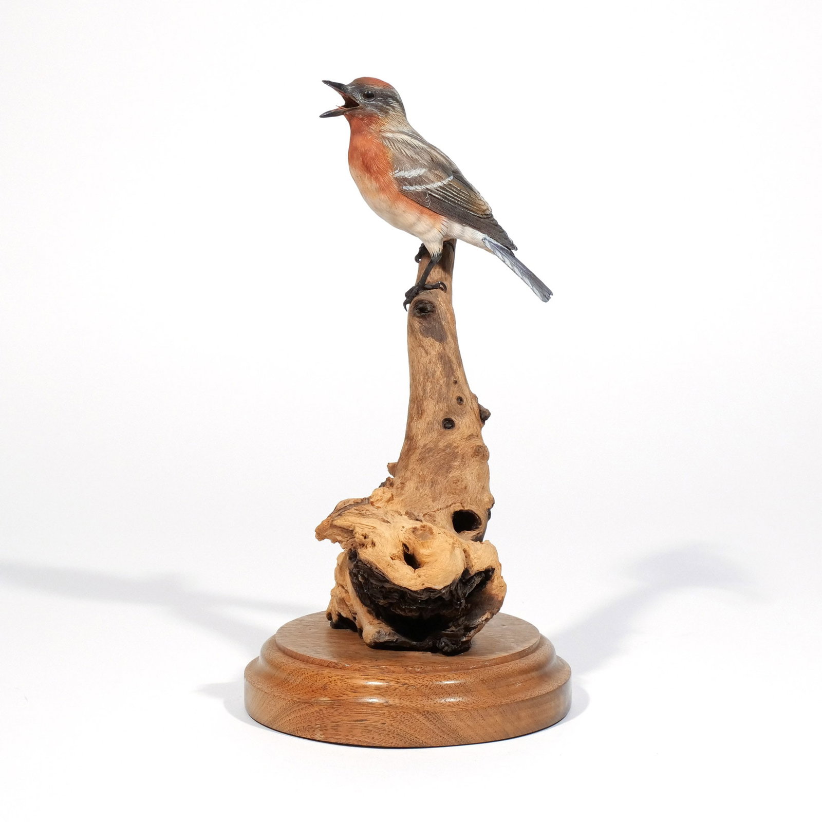 FLOYD SCHOLZ (American, 1958-): Bay Breasted Warbler, 2010 Wood, carved & painted h. 11-1/4 w. 5-3/4 d. 5-3/4 in. (overall) Signed, titled, numbered, dated, and with dedication under wooden plinth, 'For Tom and Betsy Meyer / Floyd S