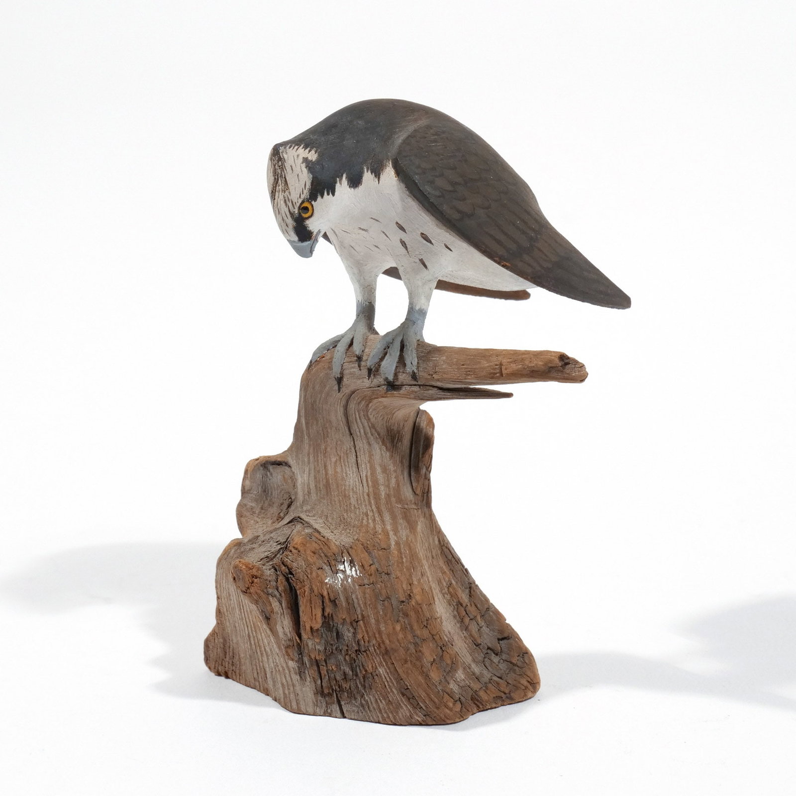 HAROLD GIBBS (1886-1970) OSPREY (1 of 12)