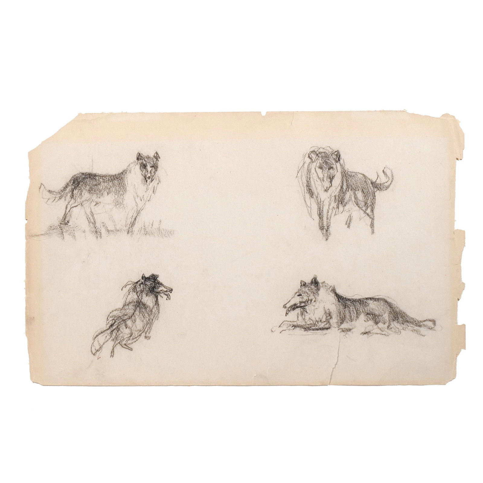 ROBERT HENRI (American, 1865-1929): Four Studies of Dogs Charcoal on paper h. 11-1/2 w. 18-3/4 in. (sheet) With embossed estate stamp 'RH' lower margin, framed overall: 20 x 25 in. (framed) Provenance: Nardin Gallery, South Salem, NY